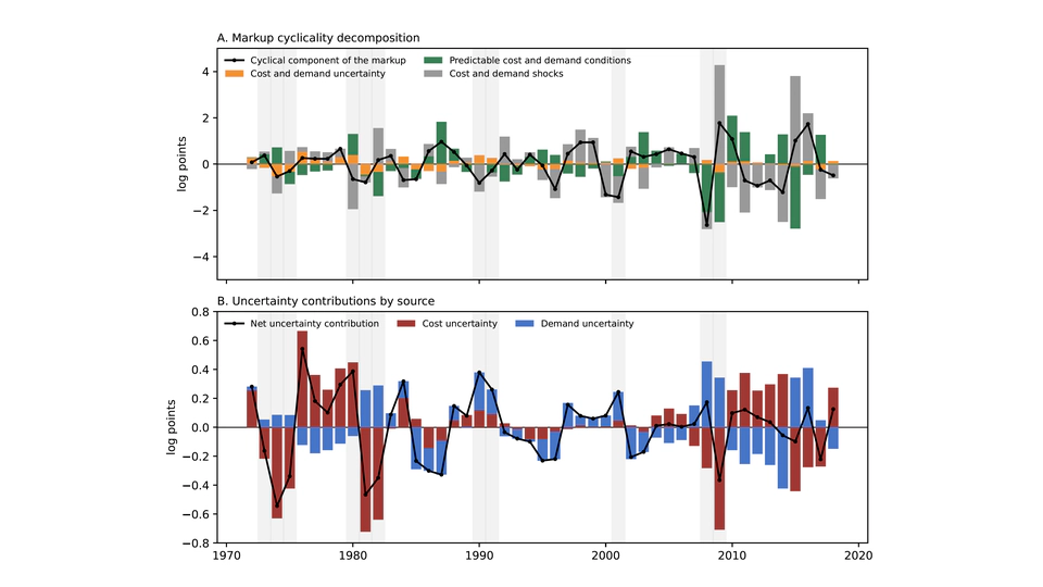 Precautionary Pricing and Markup Cyclicality