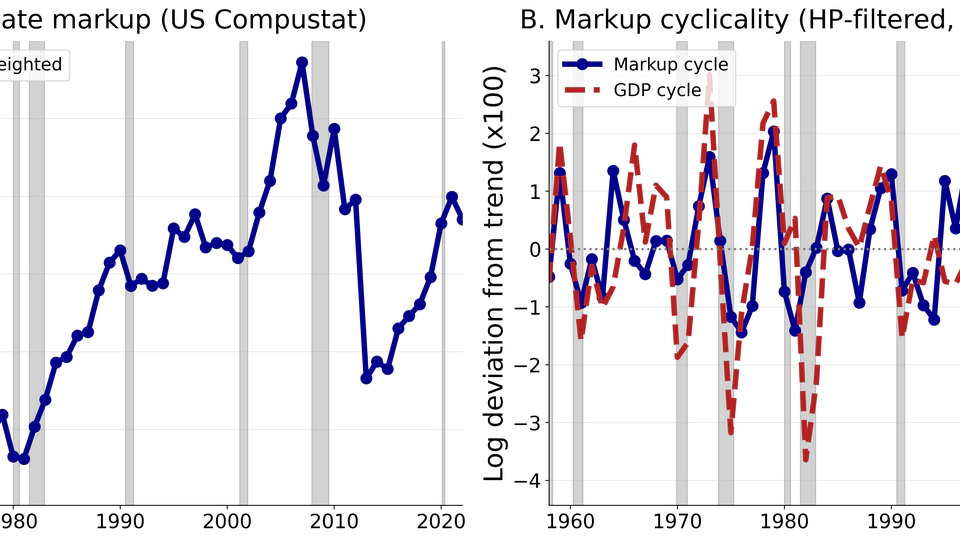 Precautionary Pricing and Markup Cyclicality