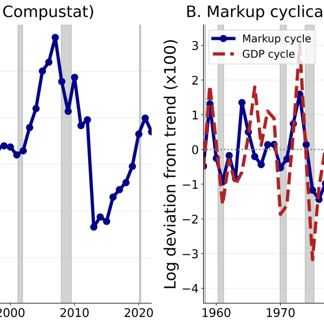 Precautionary Pricing and Markup Cyclicality