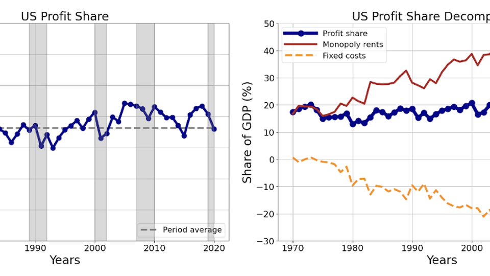 The Micro-Aggregated Profit Share