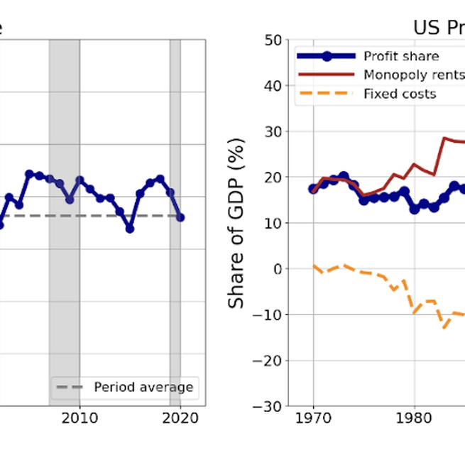 The Micro-Aggregated Profit Share